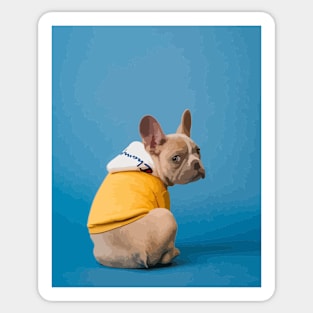 French Bulldog Digital Painting Sticker